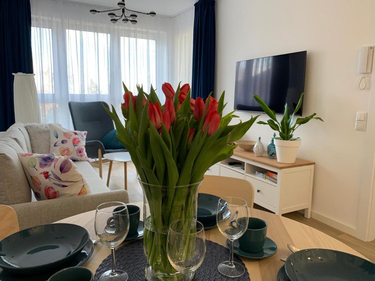 Apartamenty Bliska 33 Bielsko-Biała Esterno foto