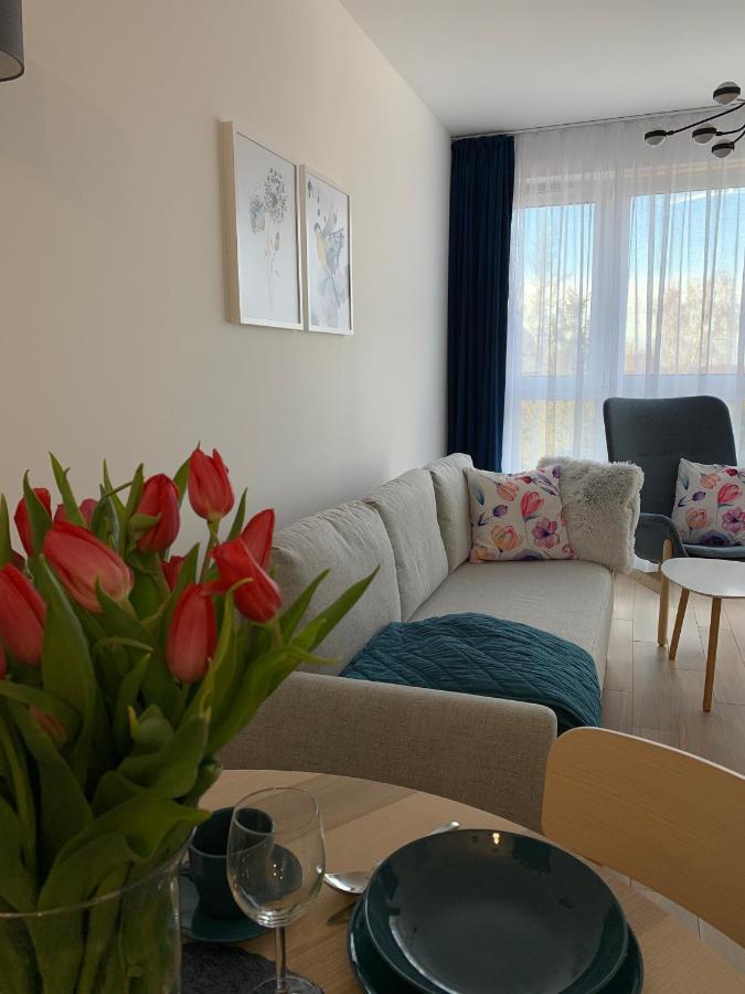 Apartamenty Bliska 33 Bielsko-Biała Esterno foto